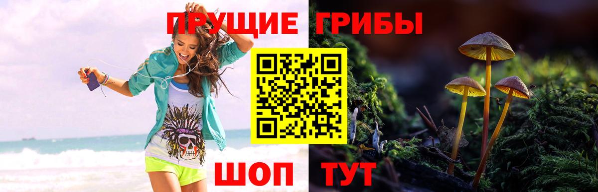 Грязи  Галлюциногенные грибы прущие грибы  Вход с VPN 